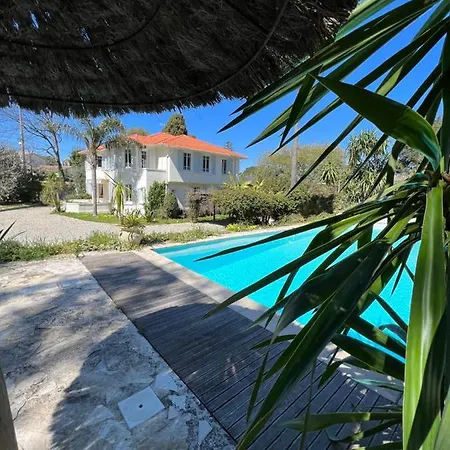 Charming Villa Piscine , Proche Mer Cap D'Antibes